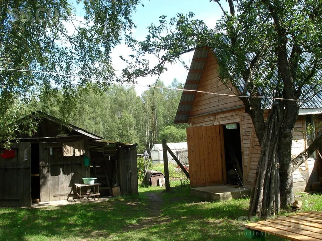 Māja — Sala ķirbji — vēl bildes