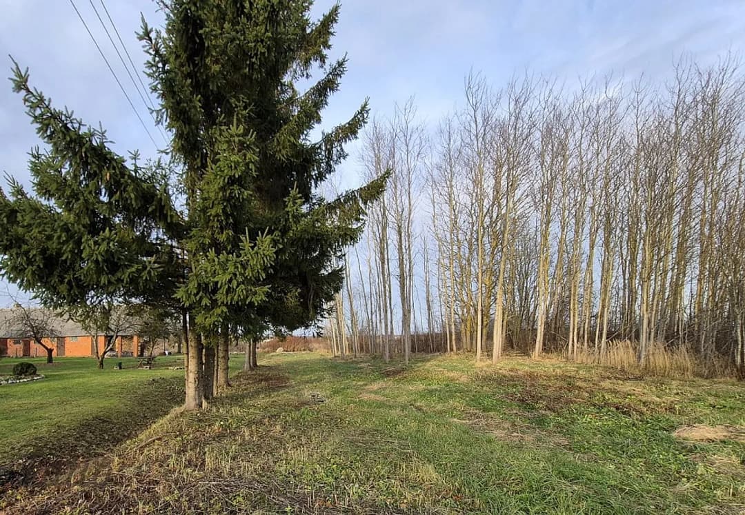 Pārdod savrupmājas apbūves zemes gabalu Ainažos tikai 800 m no jūras!
Tiek piedāvāts — bilde 4
