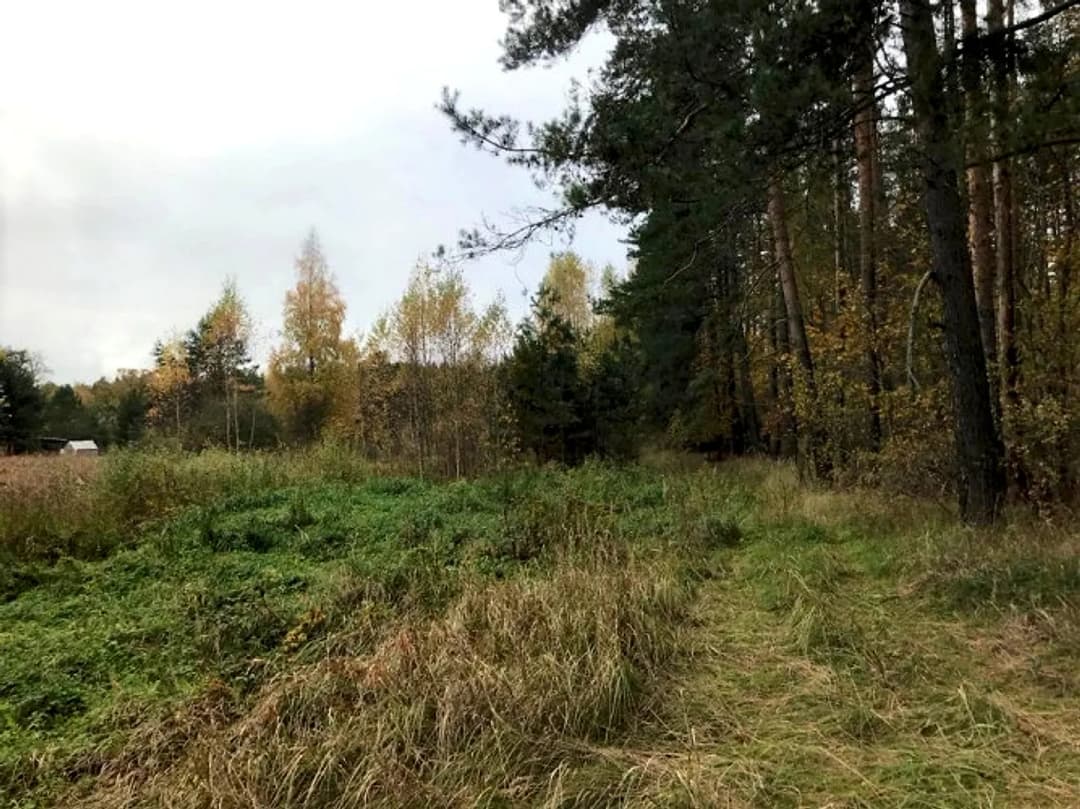 Zemes gabals Babītes pagastā. 400 m attālumā no Božu ūdenskrātuves, 2,2 km no Liepājas — bilde 2
