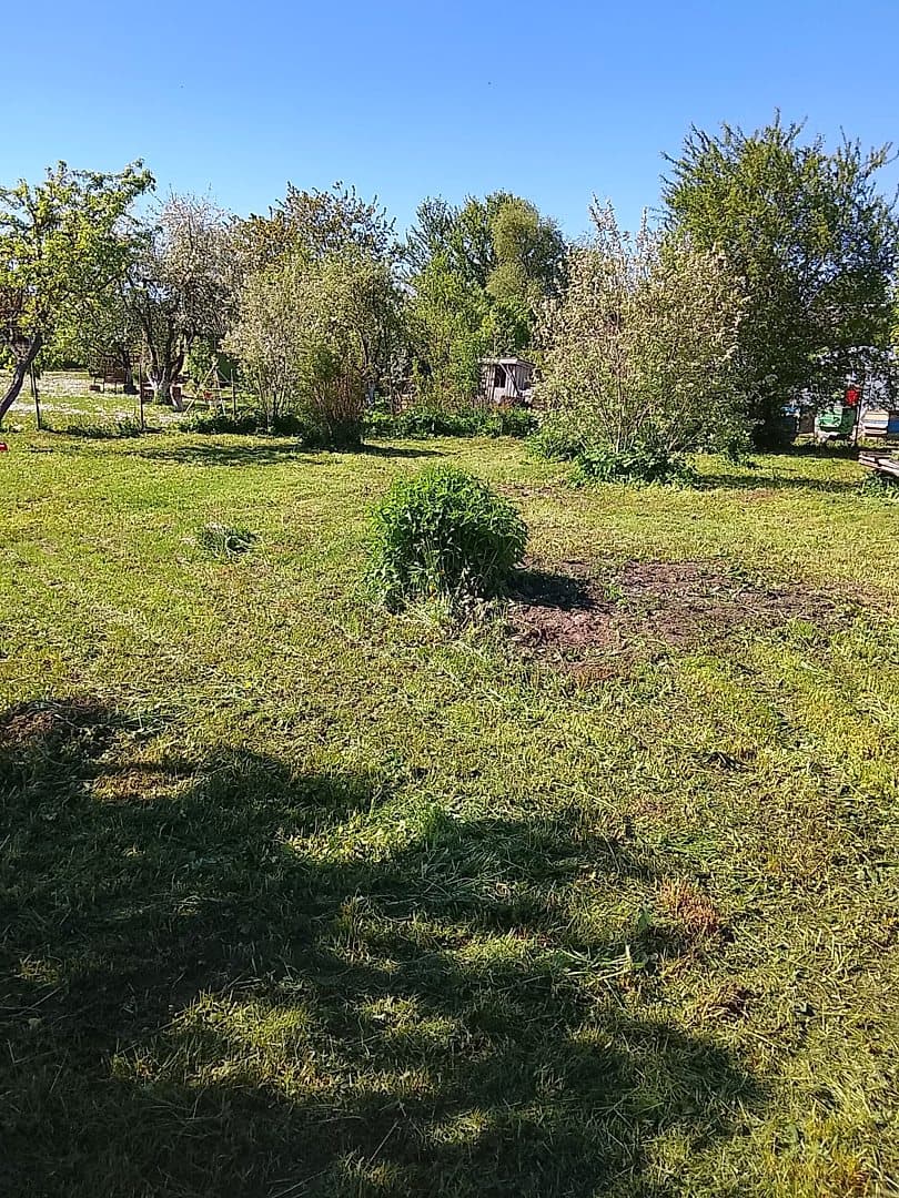 1-ist. Māja, 14㎡ - Dobeles novads, Auru pagasts — bilde 4