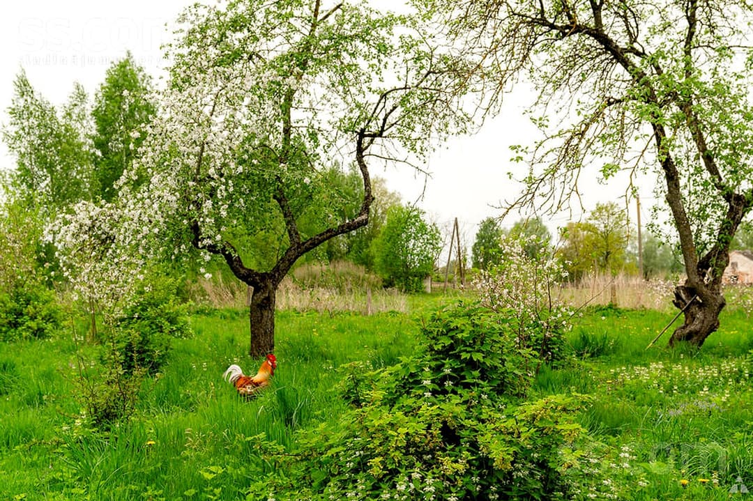 Māja — Zeltiņi — bilde 2