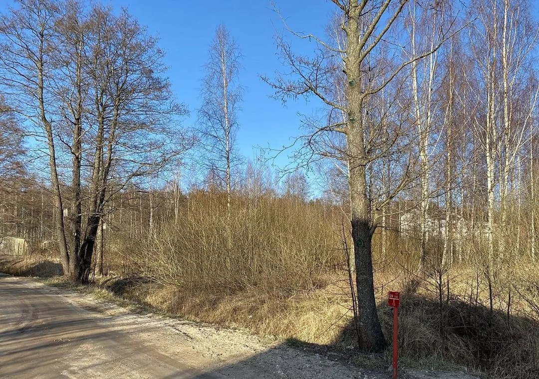 Saulkrastu pagasts, Saulkrastu novads — bilde 4