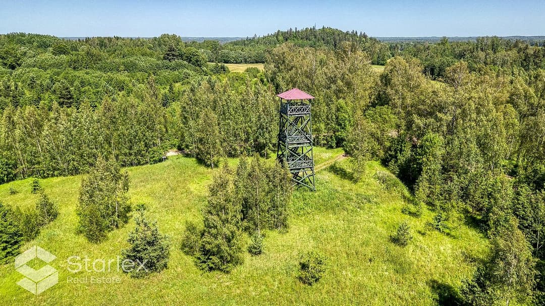 Zeme, 26000㎡ - Gulbenes novads, Beļavas pagasts — vēl bildes
