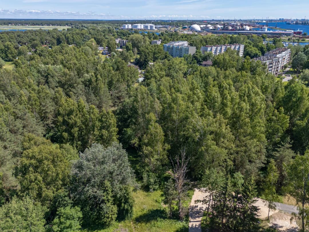 Vižņu iela, Rīga — bilde 3