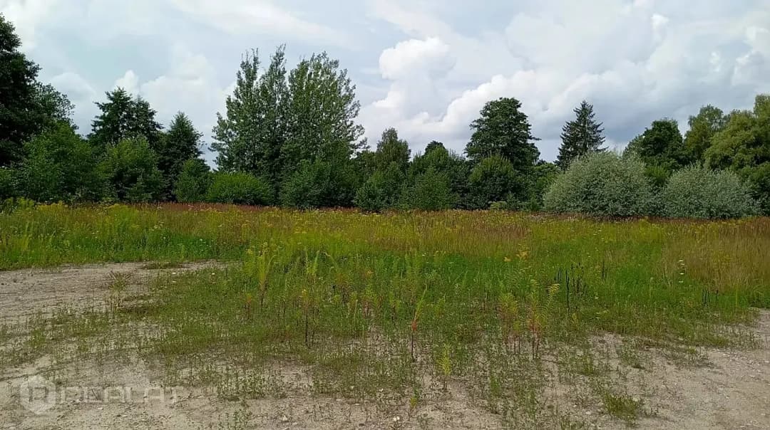 Zeme, 643.00㎡ - Jūrmala, Ķemeri — bilde 2