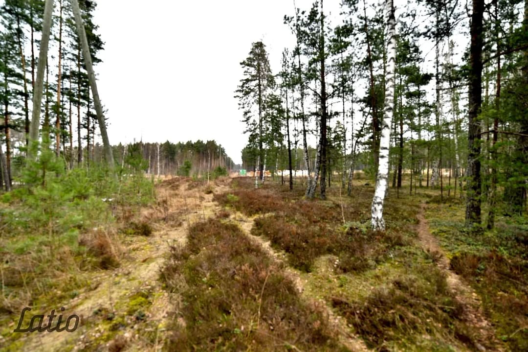 Vecmīlgrāvis, Rīga