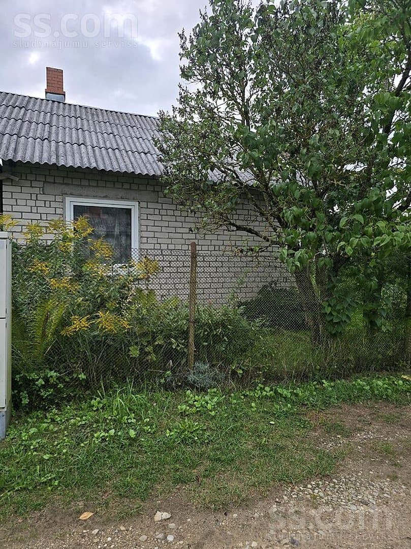 Māja — Lielziedi 731 — bilde 2
