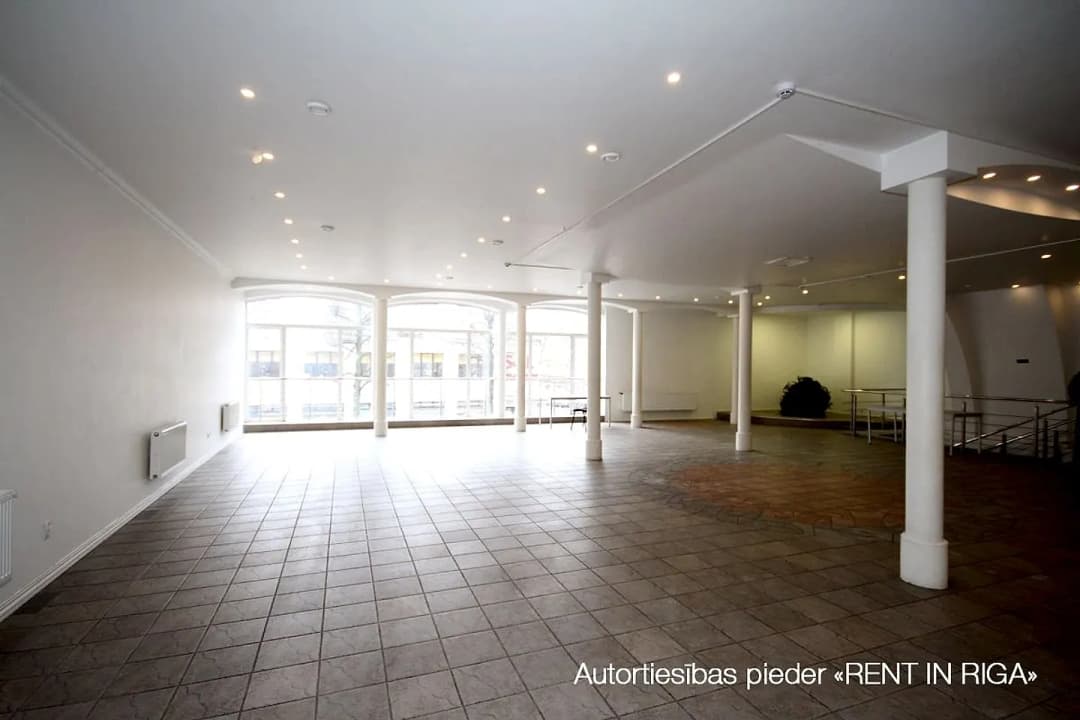 Pētersalas 1b, Centrs
