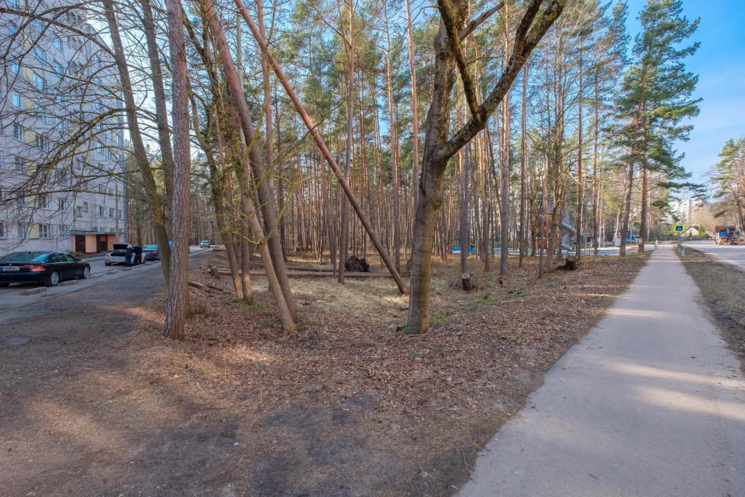 Skolas iela, Kauguri, Jūrmala — bilde 3