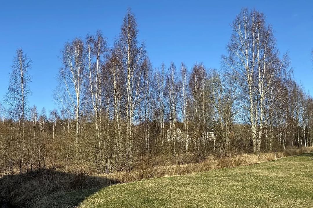 Saulkrastu pagasts, Saulkrastu novads — bilde 2