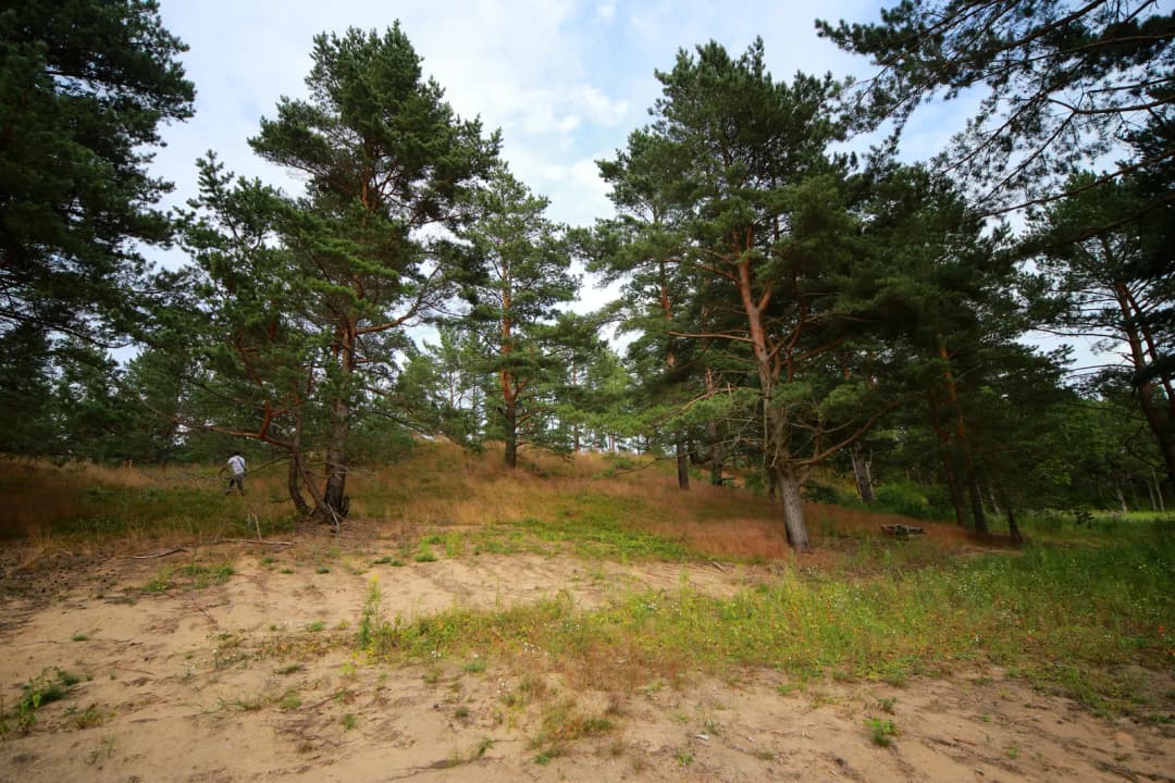 Zābaku iela, Ādažu pagasts, Ādažu novads