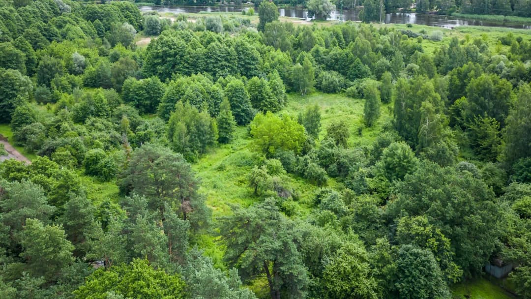 Jaunciema gatve, Bukulti, Rīga — bilde 2