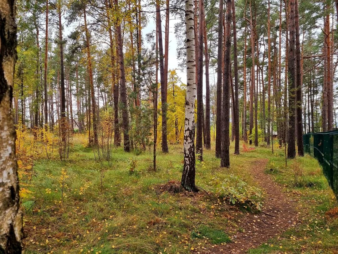 Vecāķi, Rīga — vēl bildes