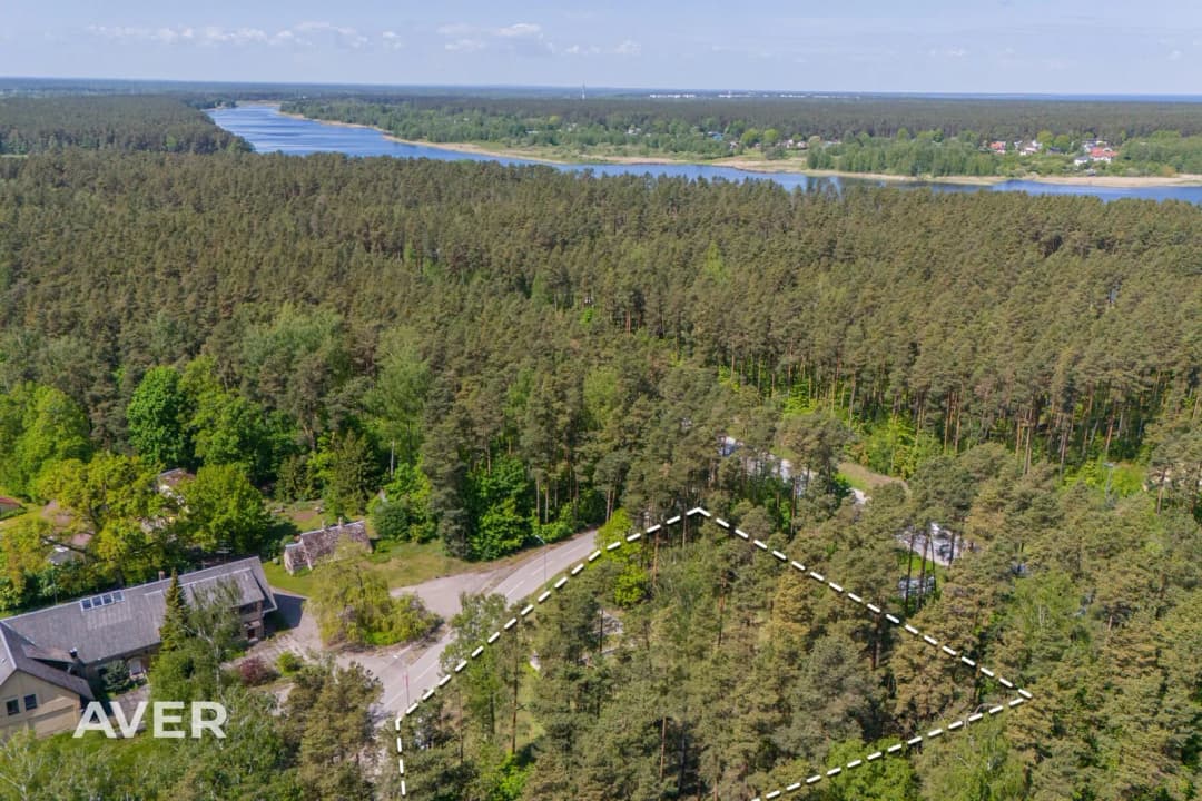 Mārupes nov., Salas pagasts, Sikspārņi, Spuņciems — bilde 4