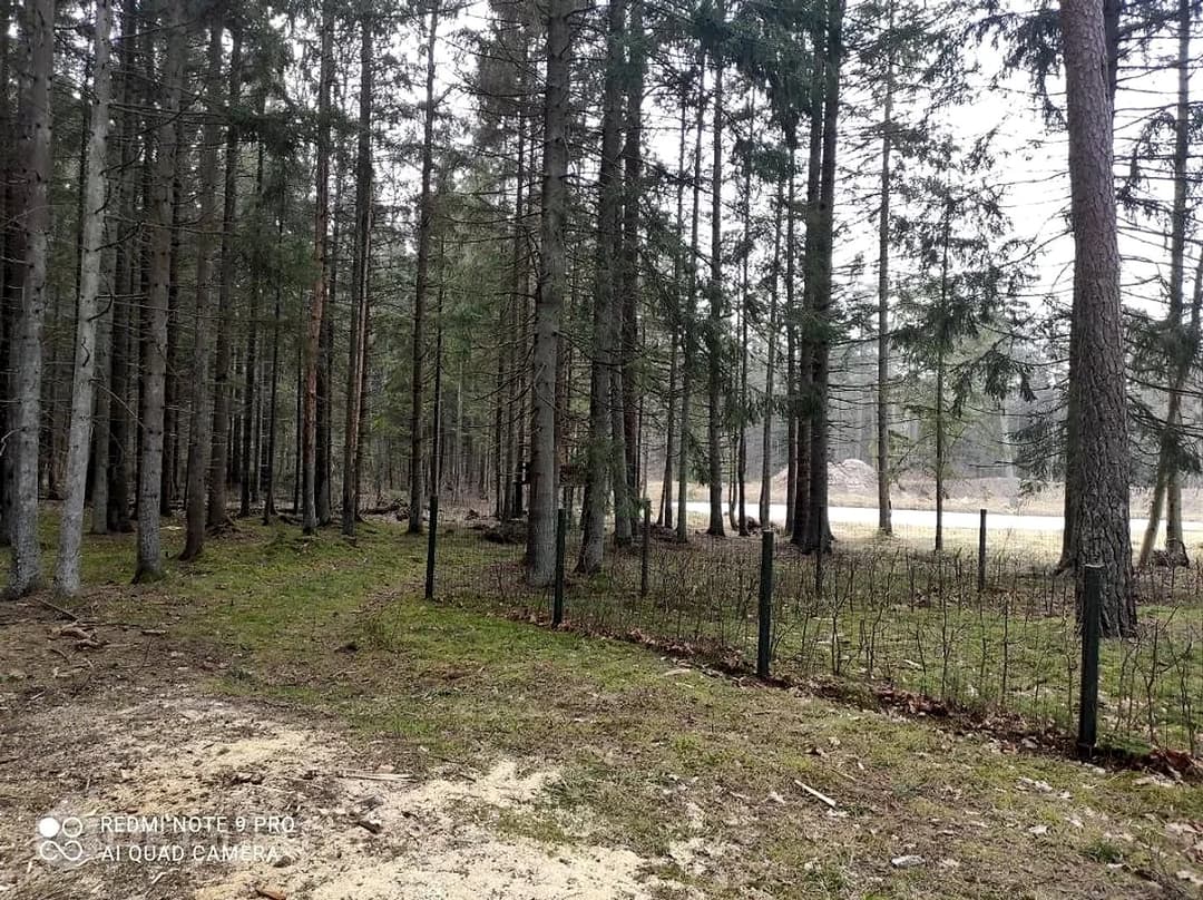 Zeme, 4390.00㎡ - Dienvidkurzemes novads, Grobiņa — vēl bildes