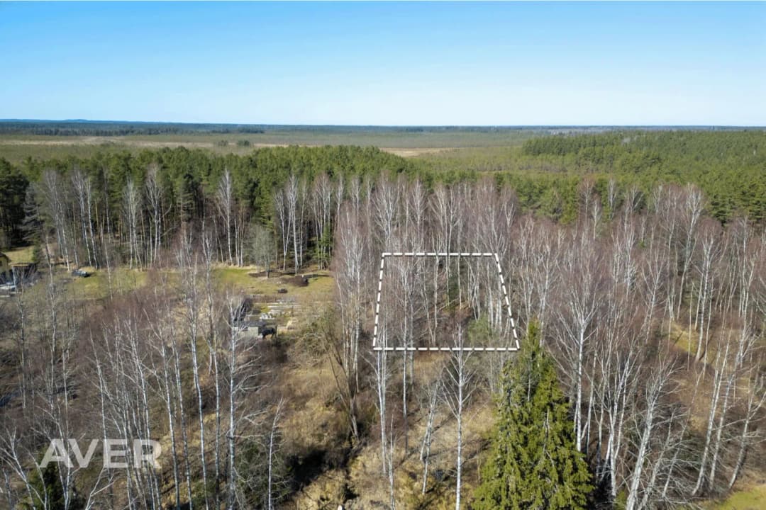 Jūrmala, Ķemeri, Stropu iela 11 — bilde 3