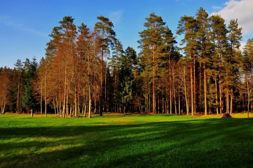 Viensēta tikai 25 km attālumā no Rīgas unikāla iespēja meklētājiem, kas vēlas mieru, — bilde 4
