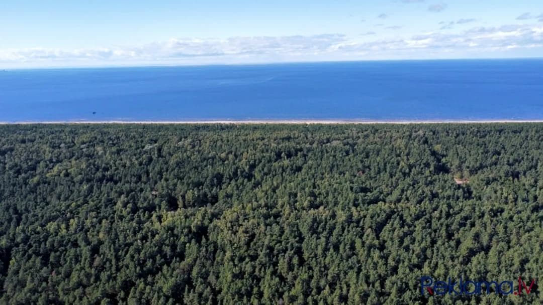 Iegādei pieejams plašs zemesgabals, ar kopējo platību 50 392 m2 Mangaļu pussalā. Lieliska — bilde 2