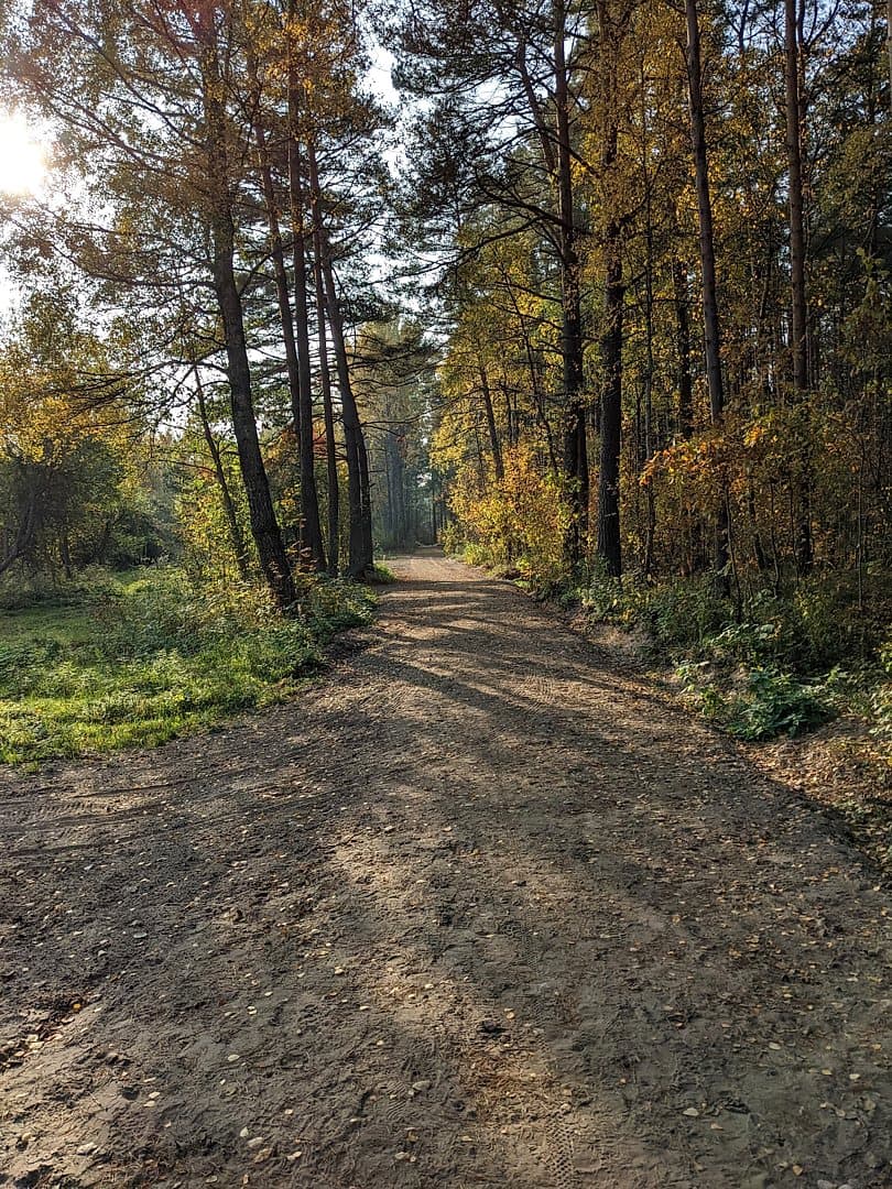 Zeme, 2196㎡ - Jūrmala, Kaugurciems