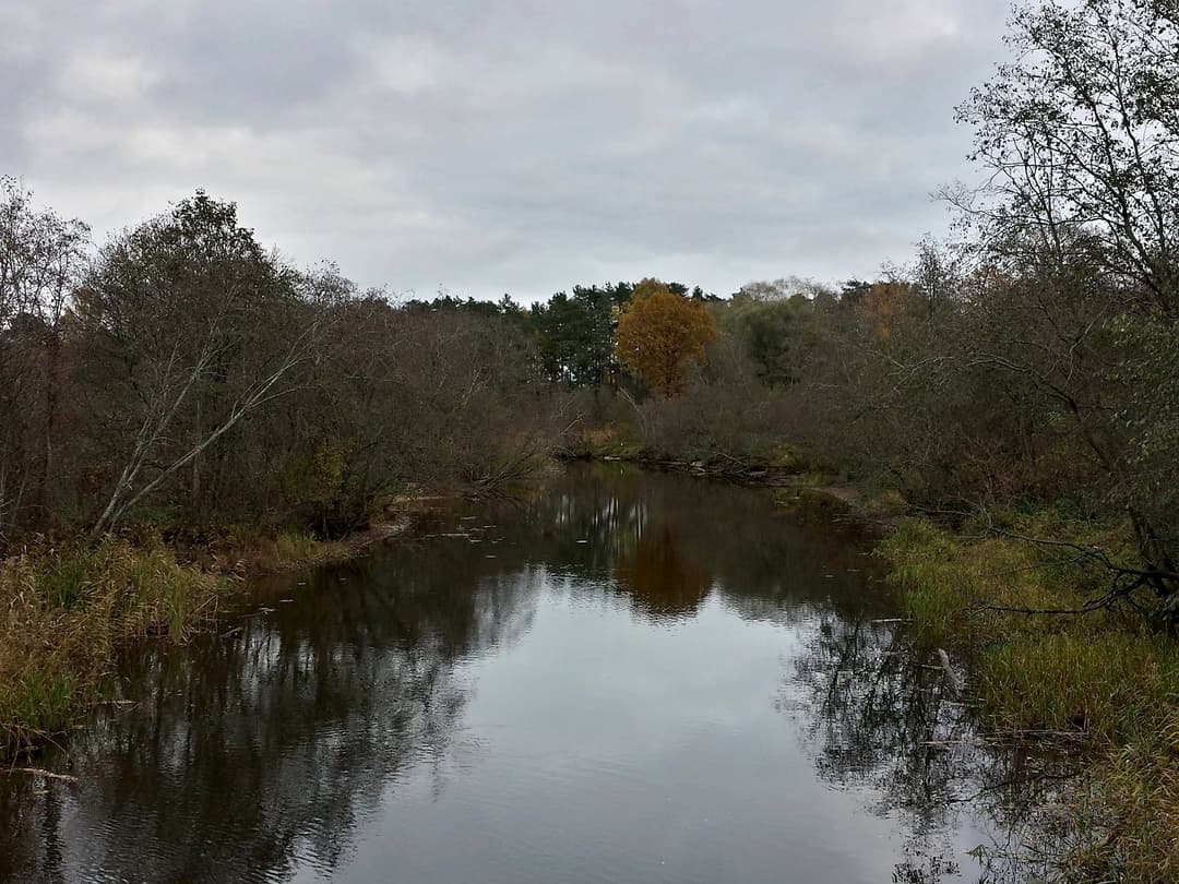 6-ist. Māja, 78㎡ - Carnikavas pagasts, Gauja — bilde 3