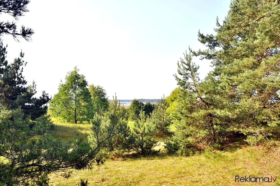 Pārdod unikālu zemesgabalu Ķīšezera krastā, Natura 2000 teritorija, skaista, dabiska — bilde 4