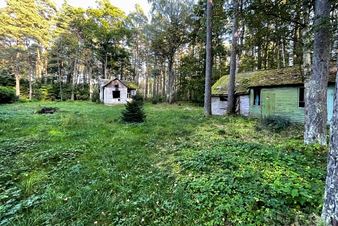 Zeme, 1713㎡ - Jūrmala, Druvciems — bilde 2