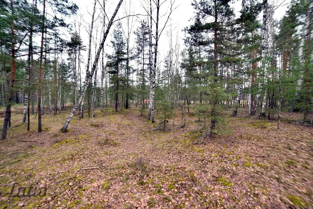 Vecmīlgrāvis, Rīga — vēl bildes