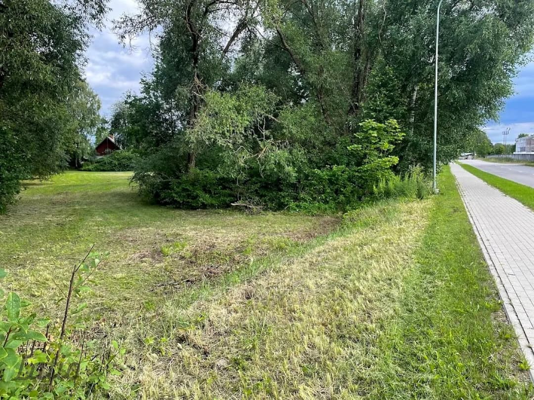 Zeme, 7929㎡ - Limbažu novads, Limbaži