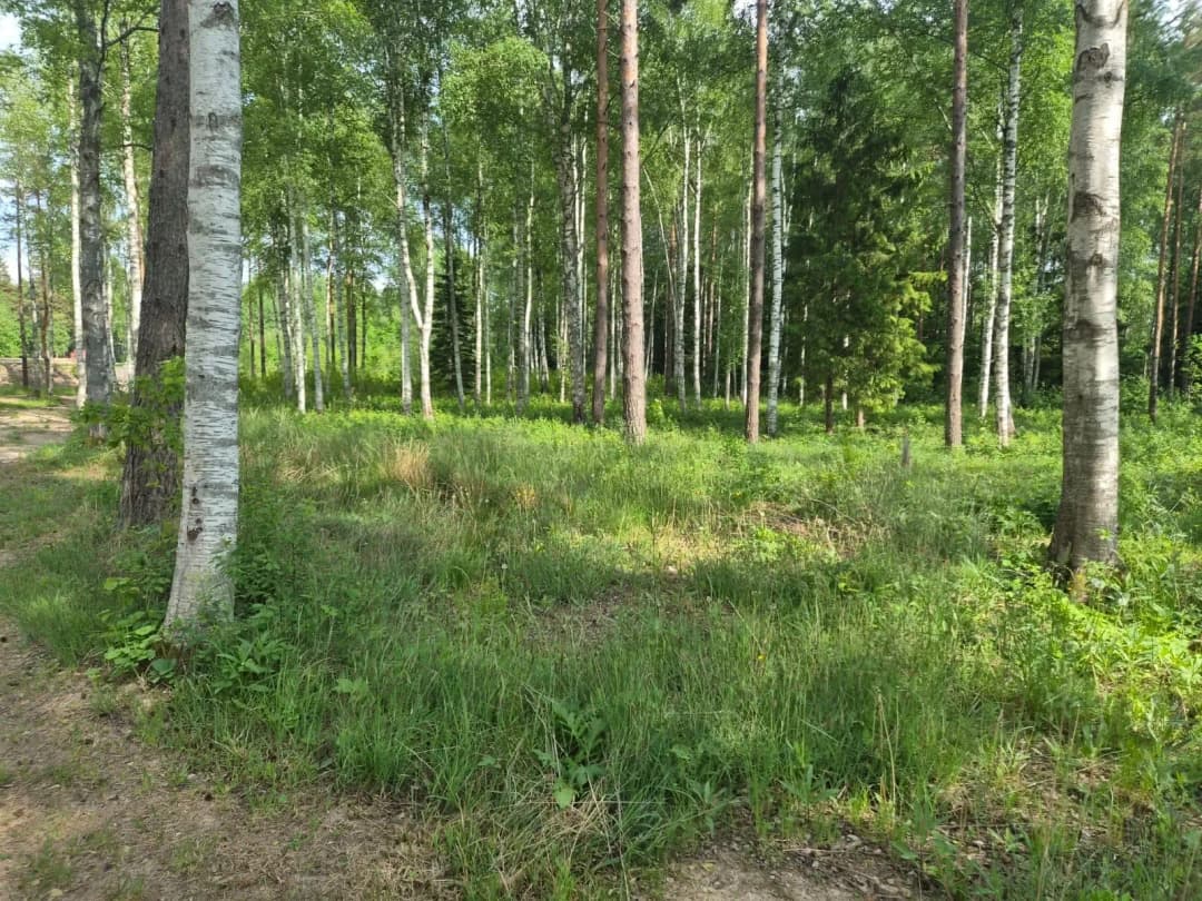 Ārlavas pagasts, Talsu novads — bilde 3