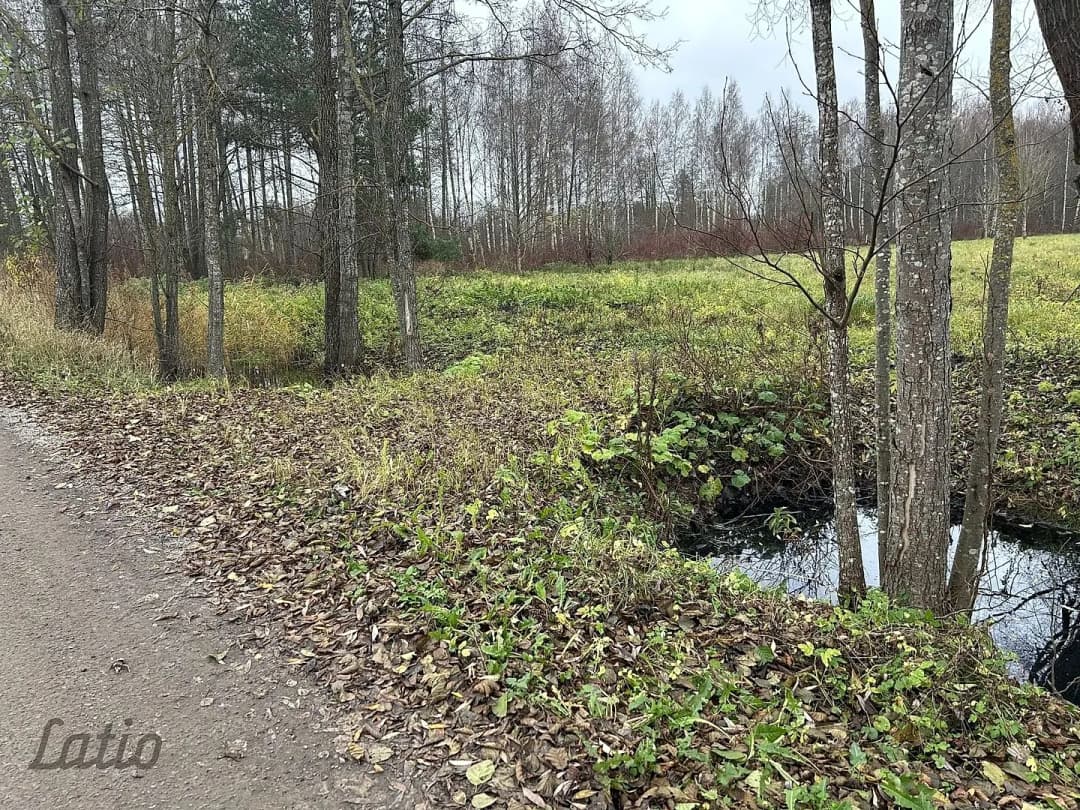 Zolitūde, Rīga — bilde 3