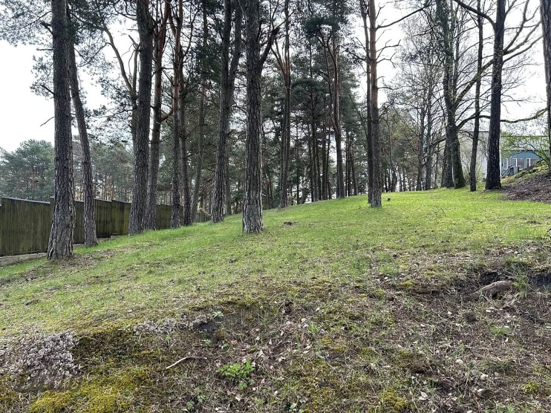 Jaunciems, Rīga