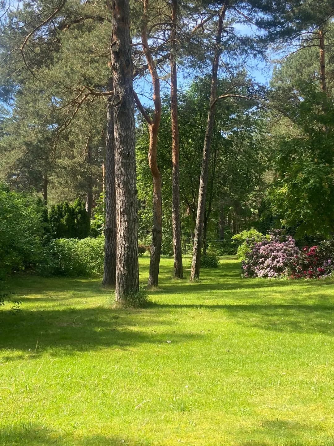 Kāpu prospekts, Vecāķi, Rīga — vēl bildes