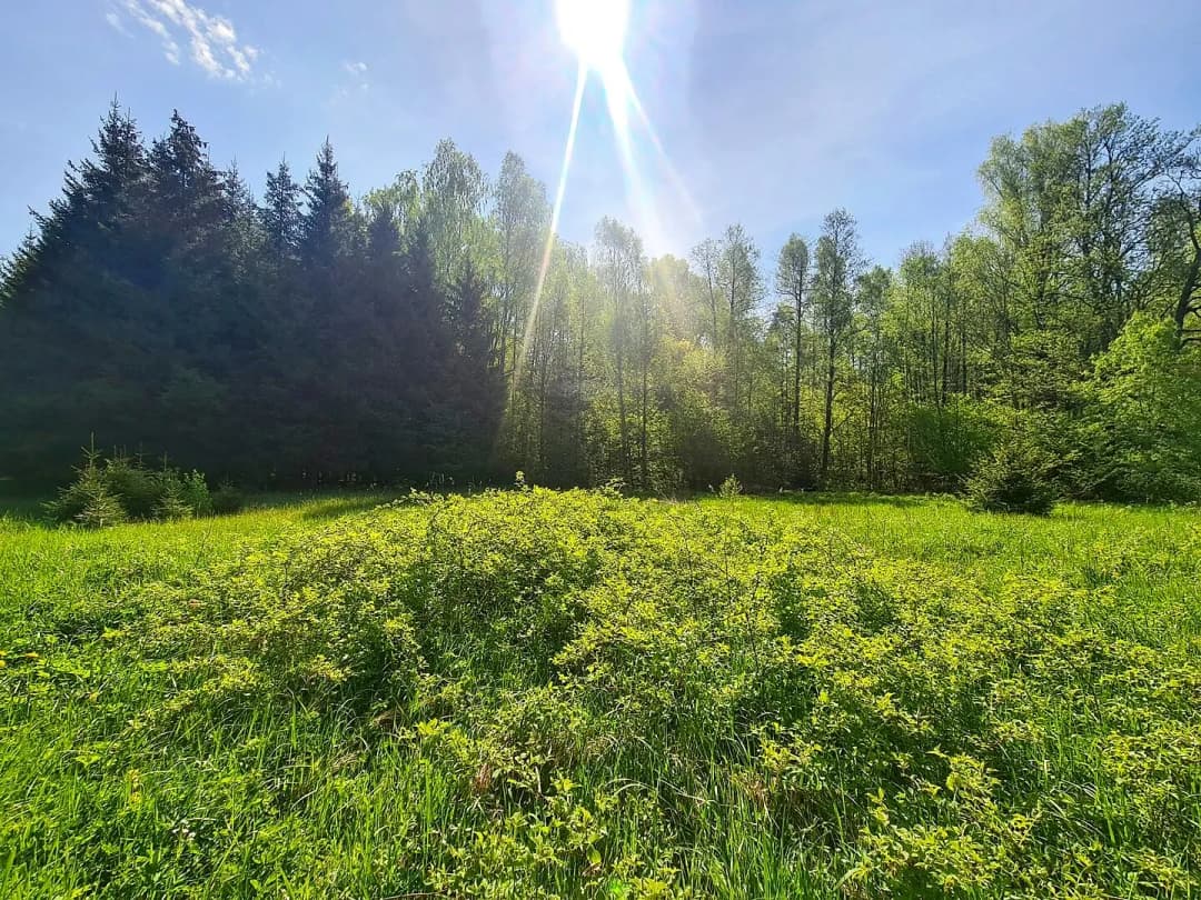 Zeme, 6㎡ - Limbažu novads, Salacgrīvas pagasts — bilde 4