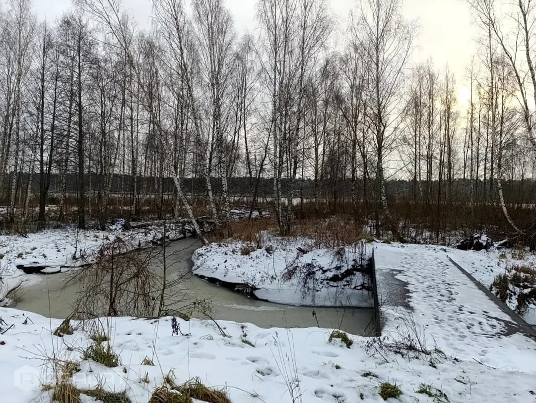 Zeme, 2144.00㎡ - Jūrmala, Krastciems — bilde 4