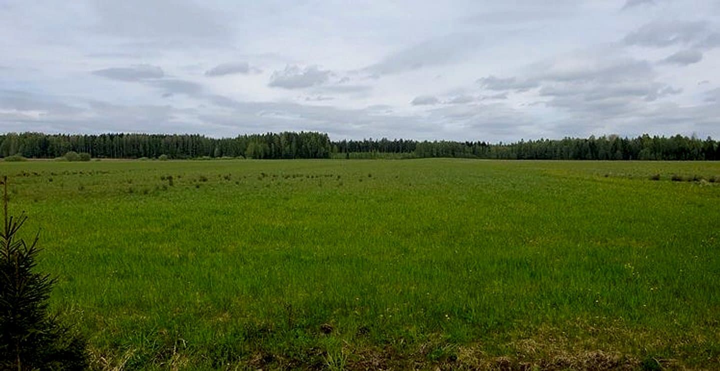 Rendas pagasts, Kuldīgas novads
