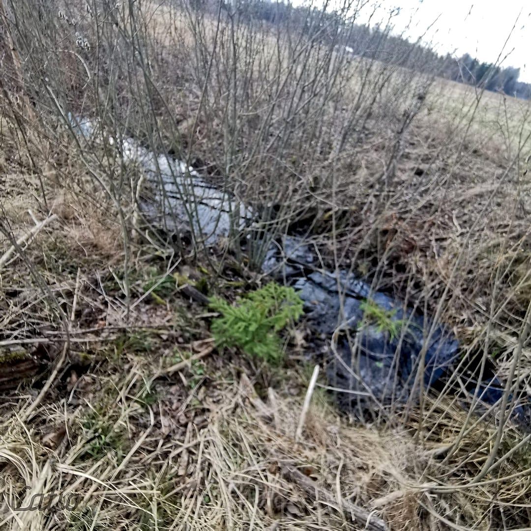 Inčukalna pagasts, Rīga — vēl bildes