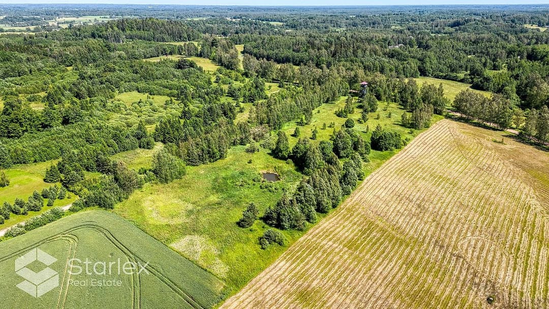 Zeme, 26000㎡ - Gulbenes novads, Beļavas pagasts — bilde 2
