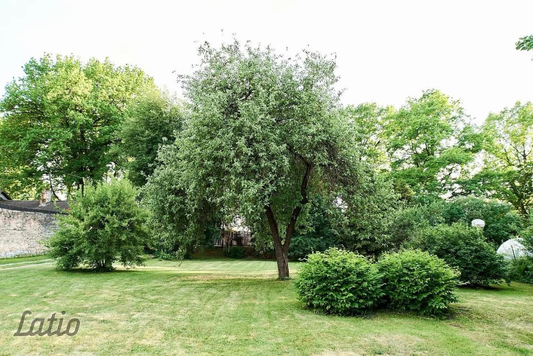 Šampēteris, Rīga — vēl bildes