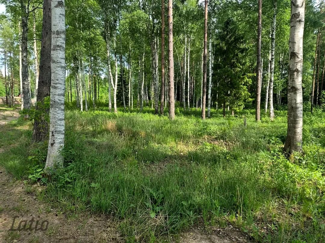 Pārdod skaistu, ainavisku zemes vienību Talsu novadā, Ārlavas pagastā ar skanīgu nosaukumu — bilde 3