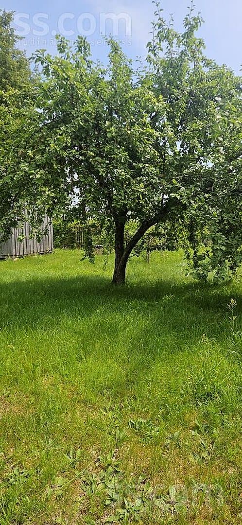 Māja — Smilšu 10 — bilde 2