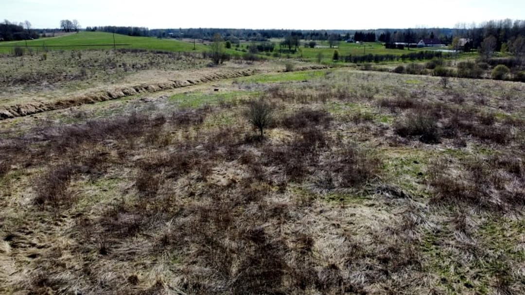 JRD - jauktas ražošanas un darījumu apbūves zeme. Blakus Dominante loģistikas parks, Rimi — bilde 4