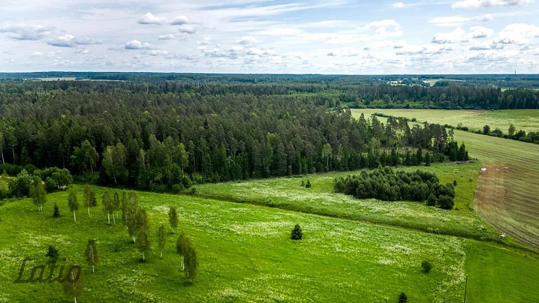 Pārdod ainavisku 7.2 ha zemesgabalu GNP neitrālajā zonā, no kura daļa atrodas Raganas ciemā, — bilde 3