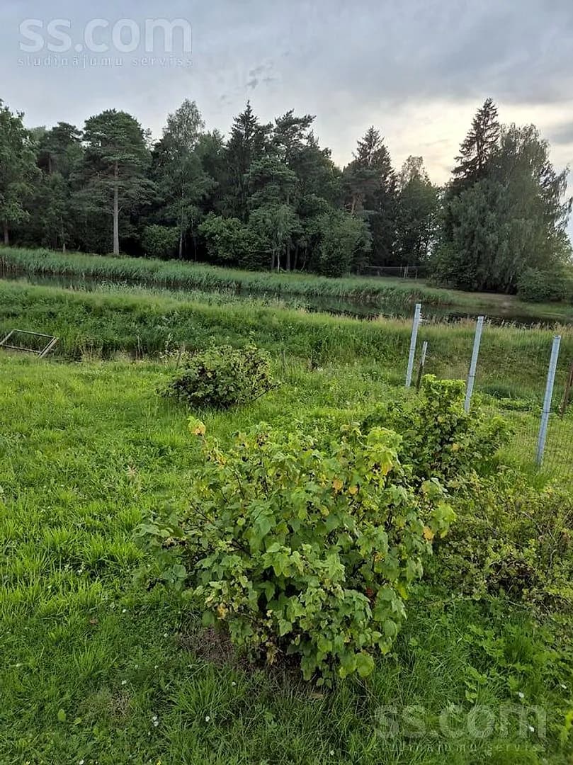 Māja — Birzīte 203 — bilde 4