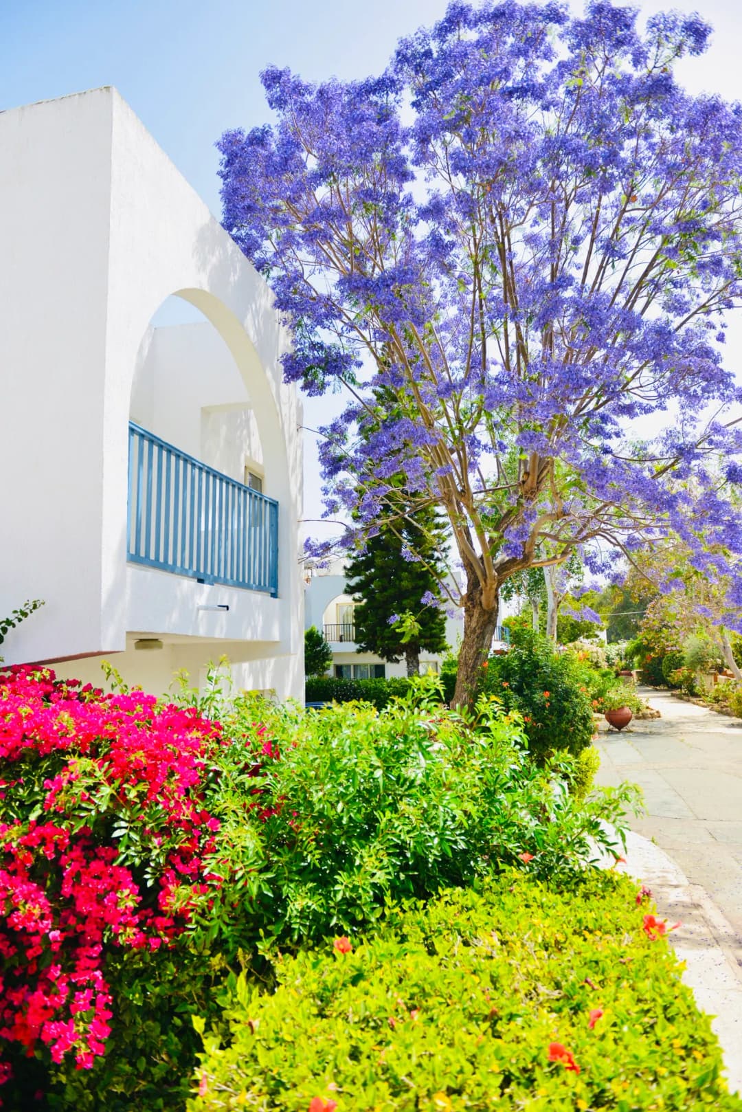 Dzīvoklis Kato Paphos — bilde 4