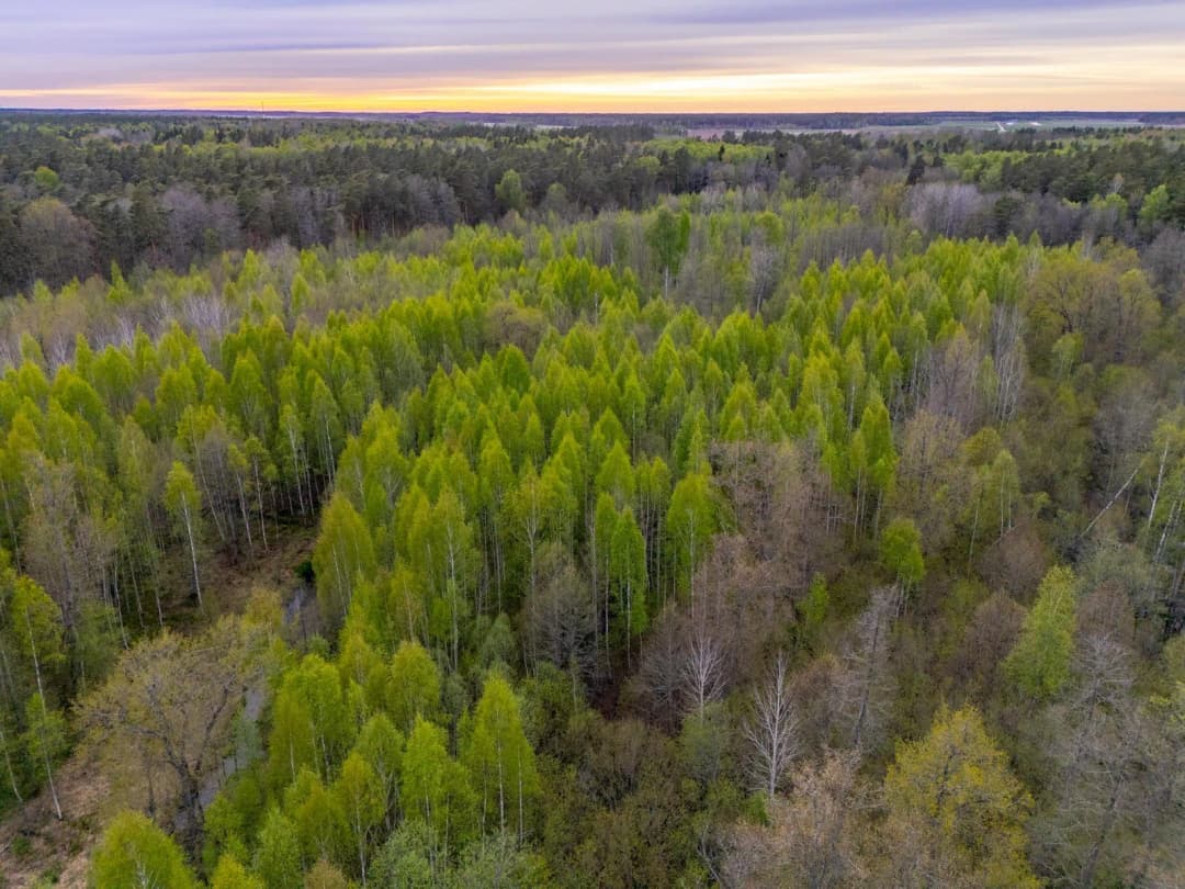 Stapriņi, Ādažu pagasts — vēl bildes