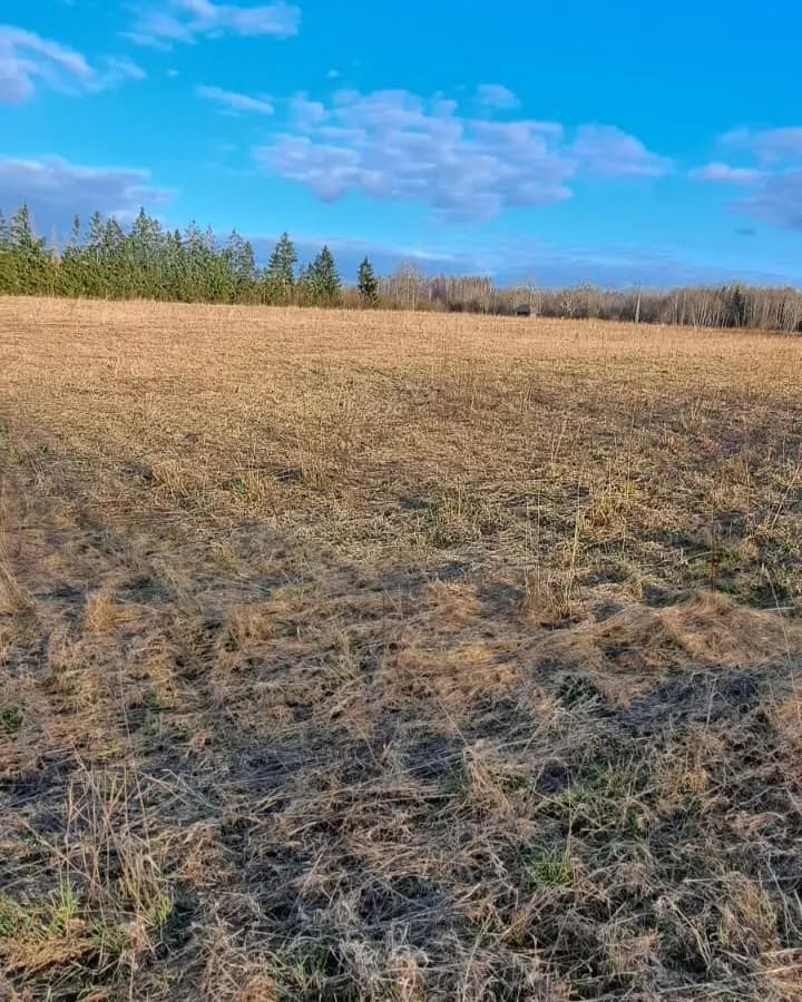 Sējas pagasts, Saulkrastu novads — bilde 3