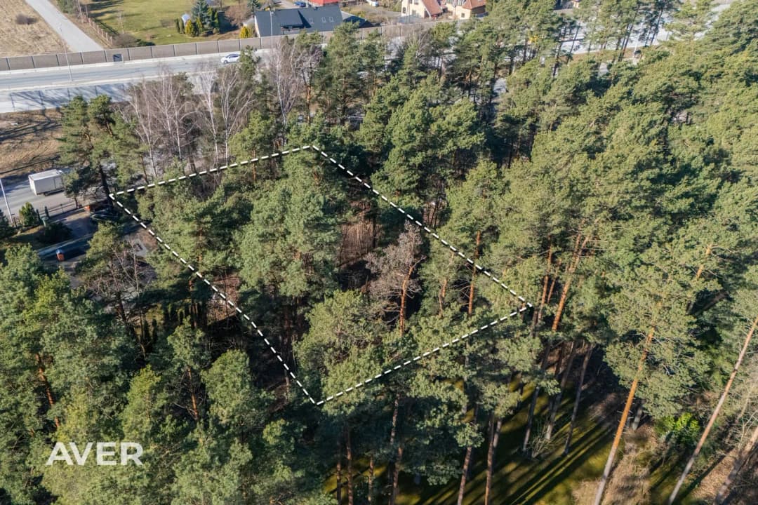 Ķekavas nov., Rāmava, Ciņi — bilde 4