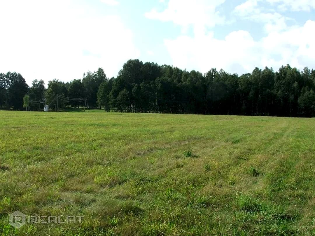 Zeme, 64000.00㎡ - Talsu novads, Laidzes pagasts — bilde 2