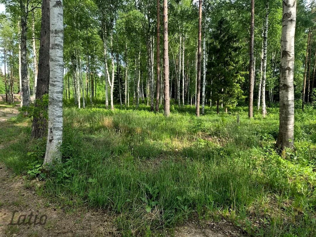 Zeme, 17900㎡ - Talsu novads, Ārlavas pagasts — bilde 3