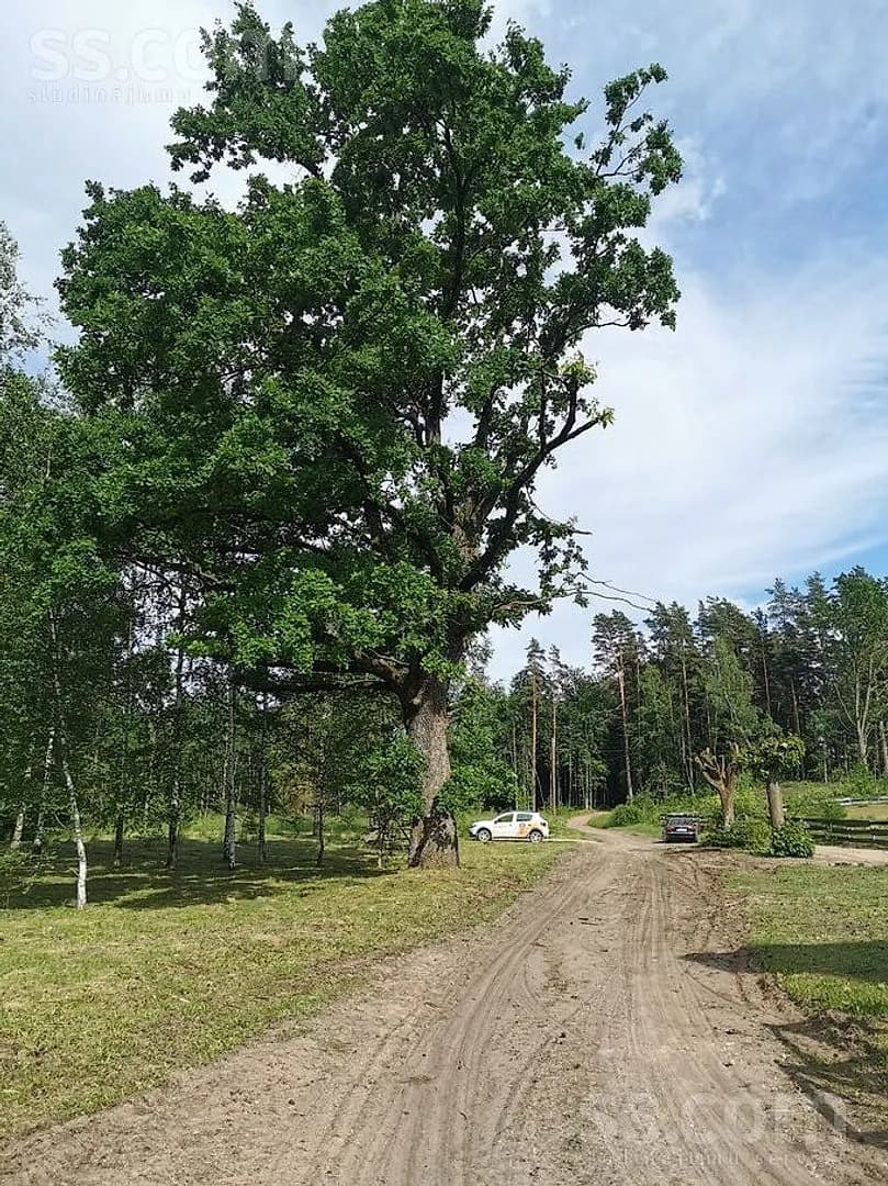 Māja — Upmalas — vēl bildes